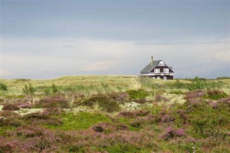 skagen sightseeing udflugter|16 Seværdigheder og Oplevelser i Skagen